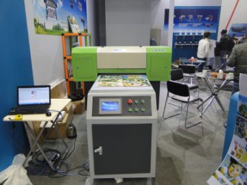 Общий внешний вид шоу